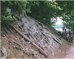 Frhling am Liepnitzsee